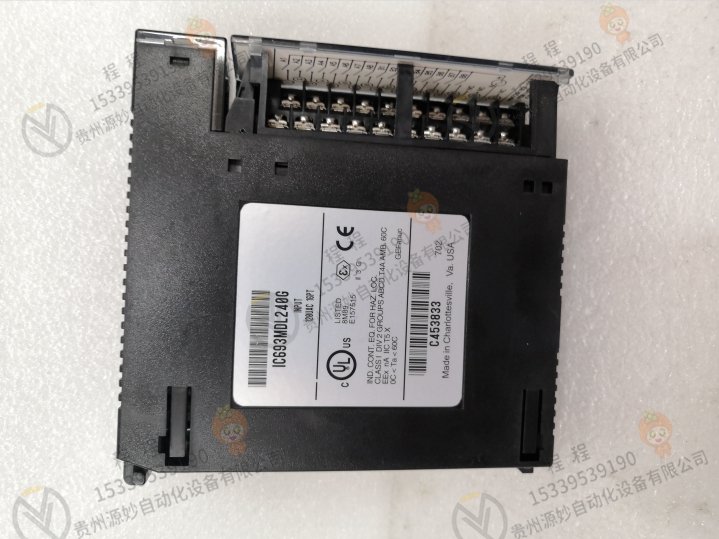 IC755CSS06RDACA  接口终端